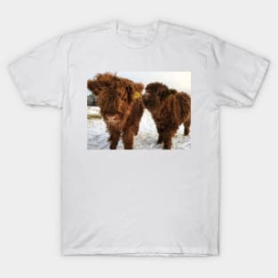 Scottish Highland Cattle Calves 1673 T-Shirt